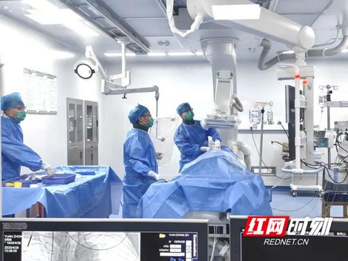 汝城縣人民醫院獲評心血管疾病防治技術牽頭單位，引領區域健康服務新篇章